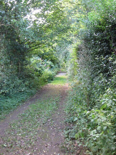 Church Lane, Guestwick. This is the eastern end of a path/track/lane whose western end is 558676.