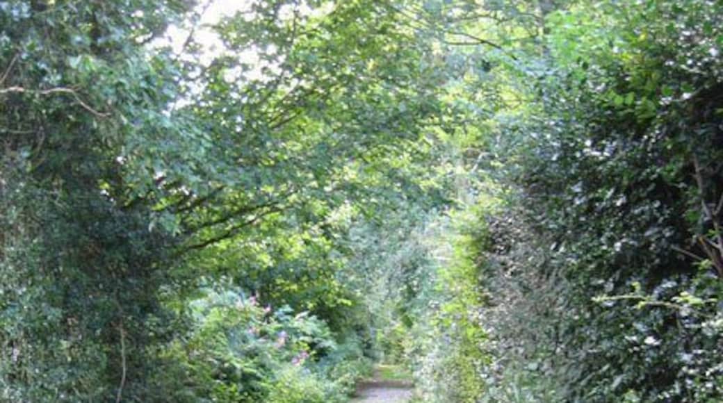 Church Lane, Guestwick. This is the eastern end of a path/track/lane whose western end is 558676.