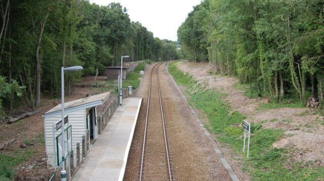 Doleham Halt The line runs towards Ashford.