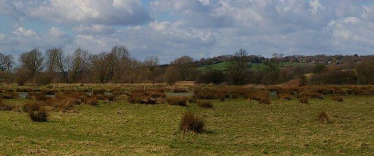A rural landscape with a field, scattered bushes, and a distant hill with buildings.
