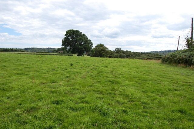 Field near Three Oaks