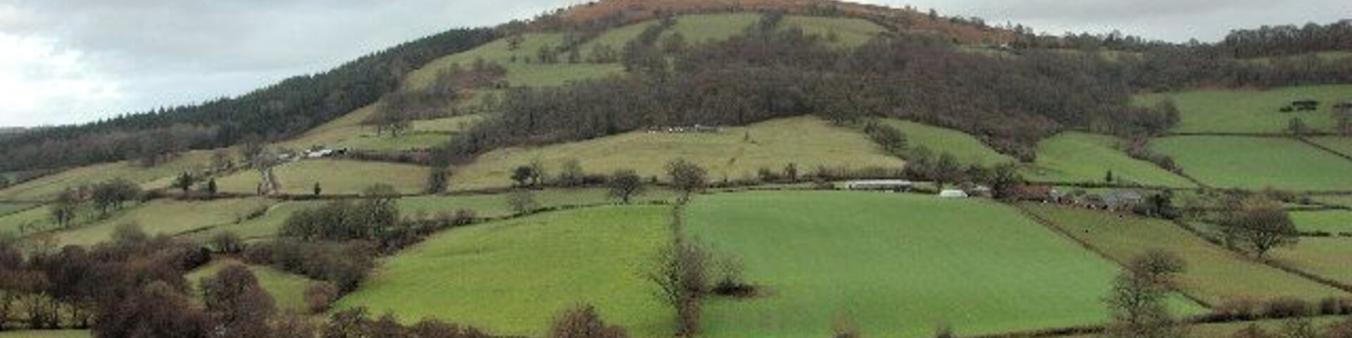 Looking towards Garway Hill. The left hand field in the middle distance shows depressions towards the left-hand boundary which mark the site of a Roman Auxiliary Fort, excavated by Monmouth Archaeological Society in the 1980s.