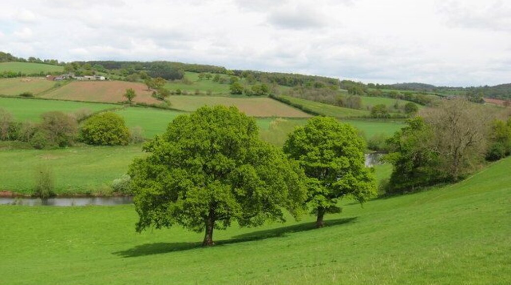 Field and River Monnow