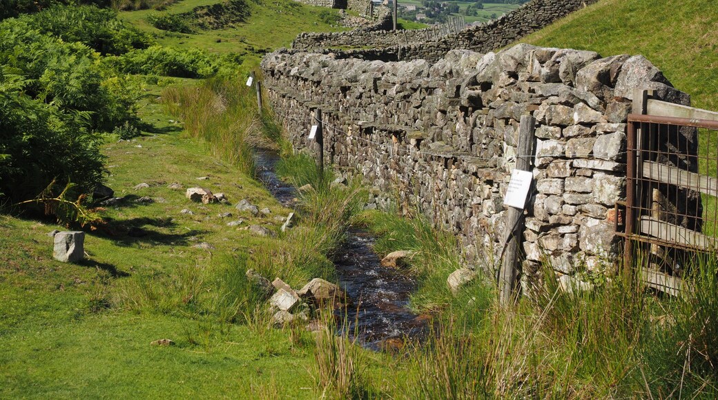 Water canal below Grinton Lodge supplying the lower meadows. The signs say not to block the watercourse.