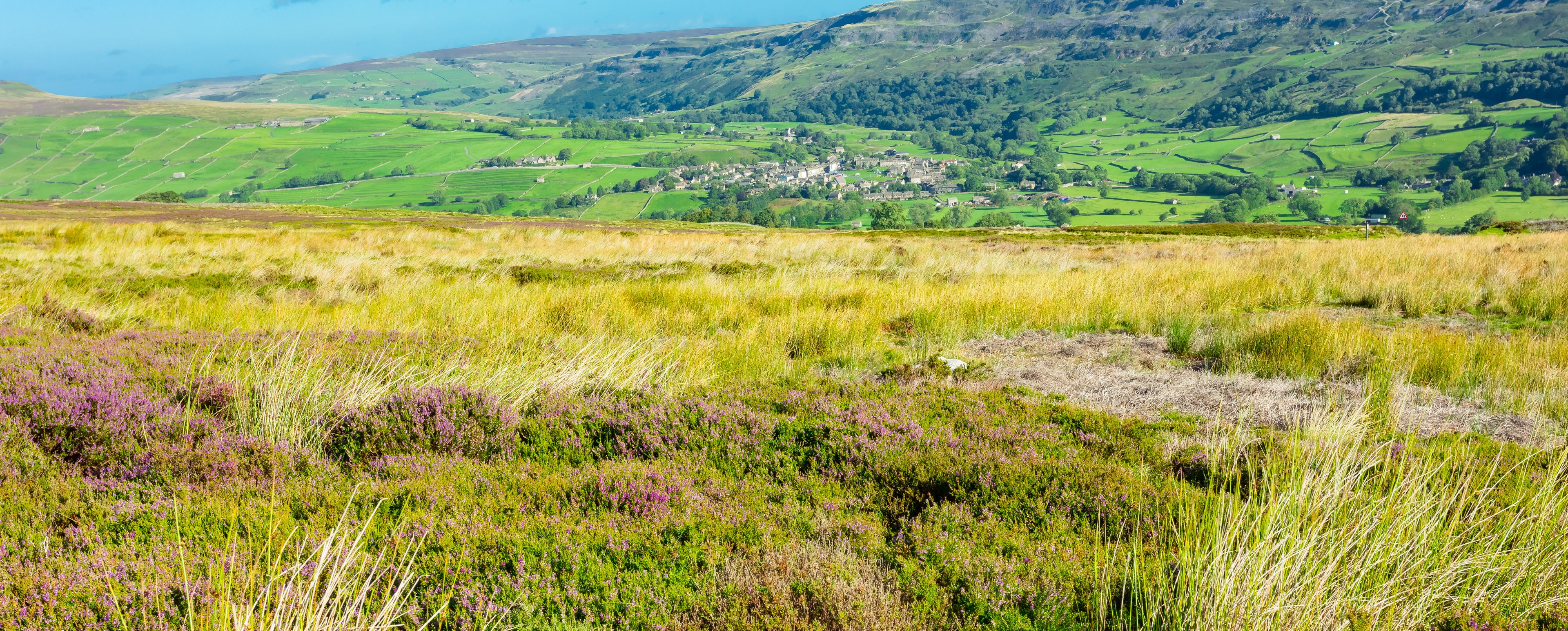 A rural landscape with rolling green hills, a small village, and purple heather in the foreground.