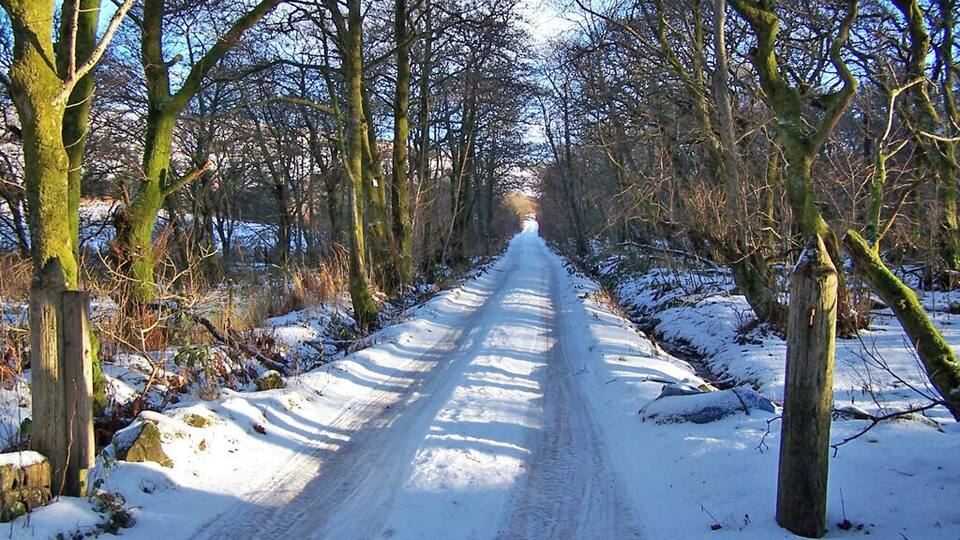 Private driveway through the woods This driveway leads from the road through Edinbane village to three private houses.