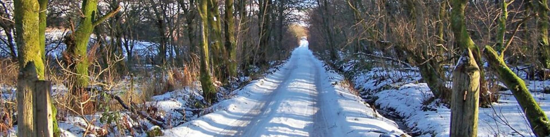 Private driveway through the woods This driveway leads from the road through Edinbane village to three private houses.