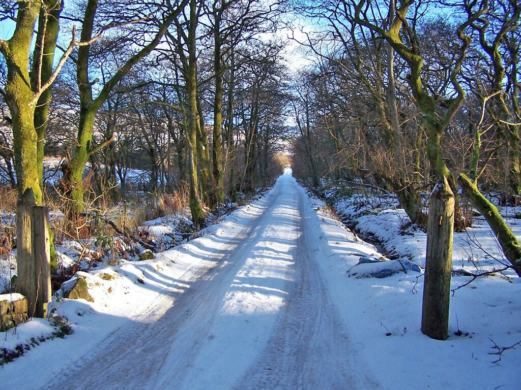 A snow-covered rural road flanked by leafless trees.