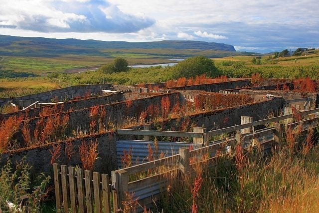 Sheep Pens, Upper Edinbane