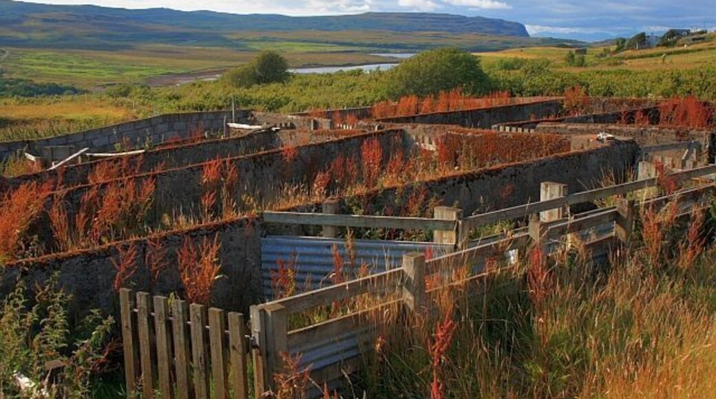 Sheep Pens, Upper Edinbane