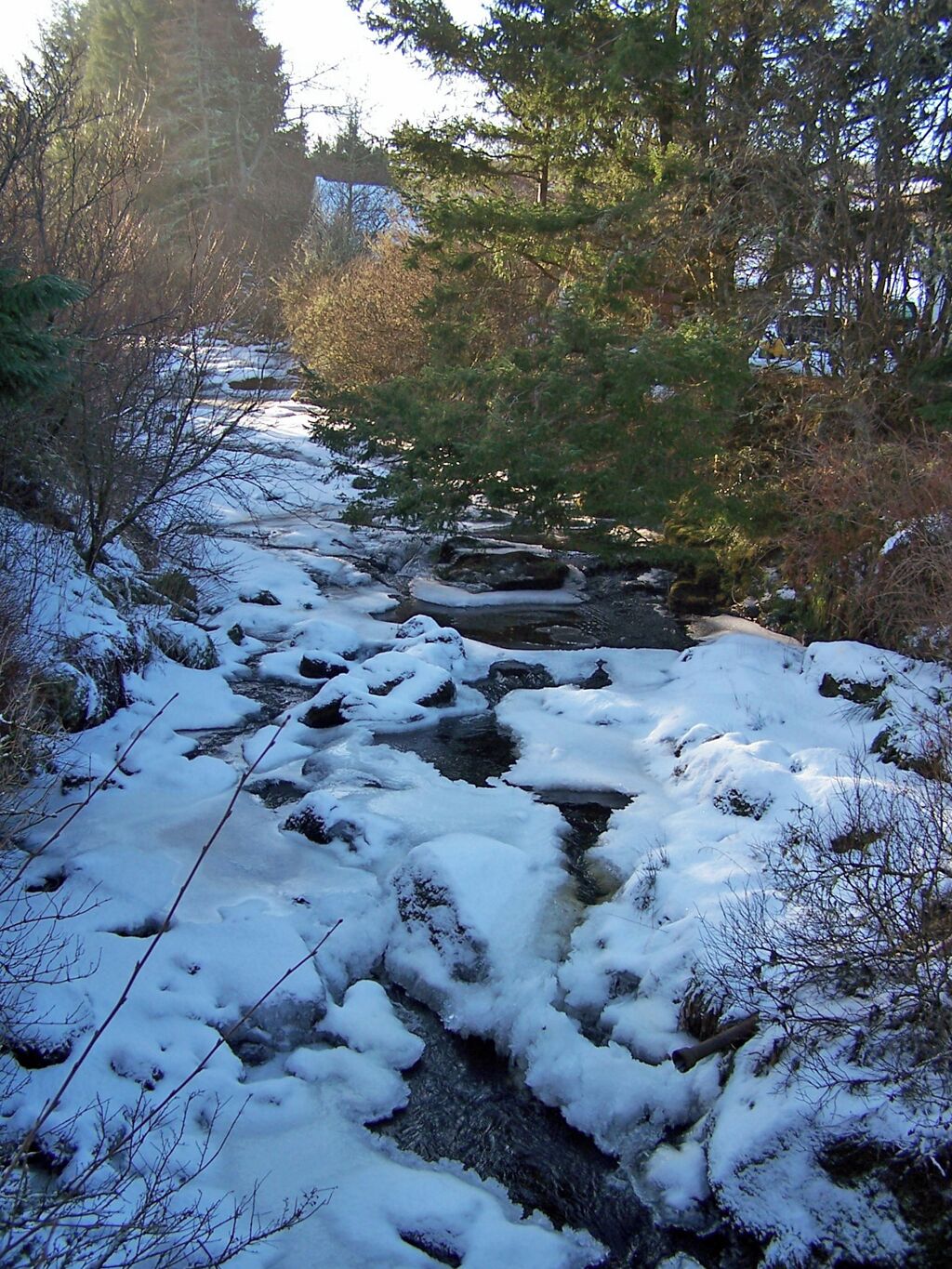 Abhainn Choishleadar in winter. Viewed from the road bridge in Edinbane village. Snow and ice have melted off the trees and shrubs surrounding the river, but the river itself remains under a white blanket. Dave Fergusson has photographed the river in quite different January weather - 314308.