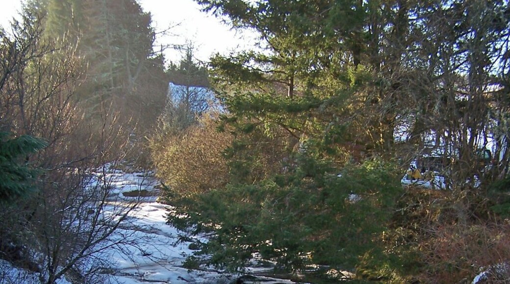 Abhainn Choishleadar in winter. Viewed from the road bridge in Edinbane village. Snow and ice have melted off the trees and shrubs surrounding the river, but the river itself remains under a white blanket. Dave Fergusson has photographed the river in quite different January weather - 314308.