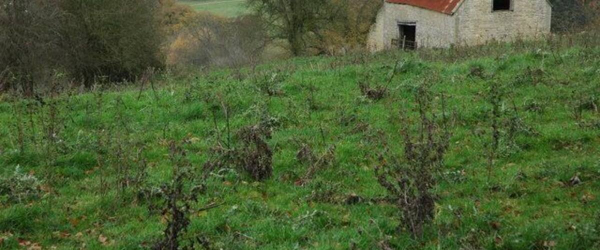 A rural landscape with a stone barn on a hill, surrounded by fields and trees.