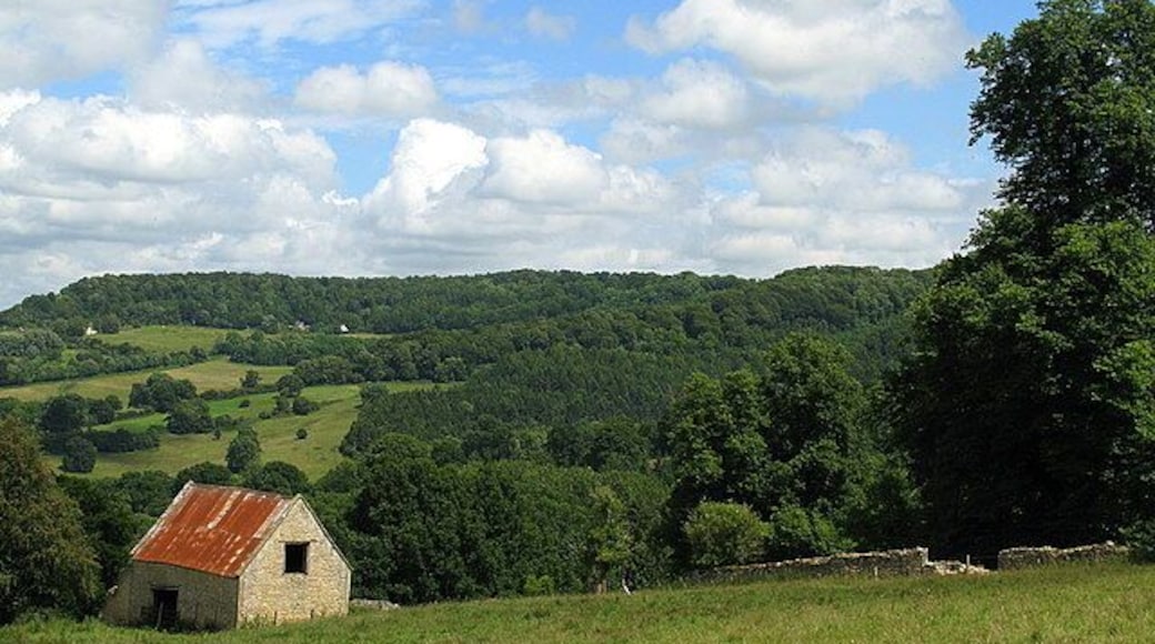 Stone barn near Witcombe Wood Taken from a bridleway leading from the Cotswold Way down to Great Witcombe. In the distance is Birdlip Hill and The Peak.