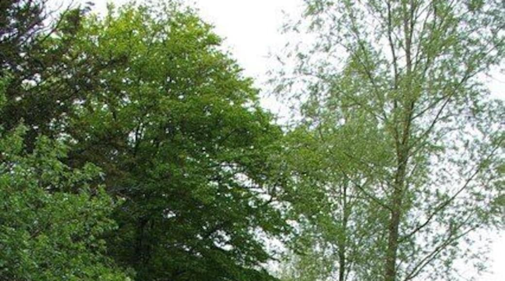 Braxted Park Boundary This is the boundary wall of Braxted Park House Estate the photo is looking along the footpath on the north eastern boundary of the park