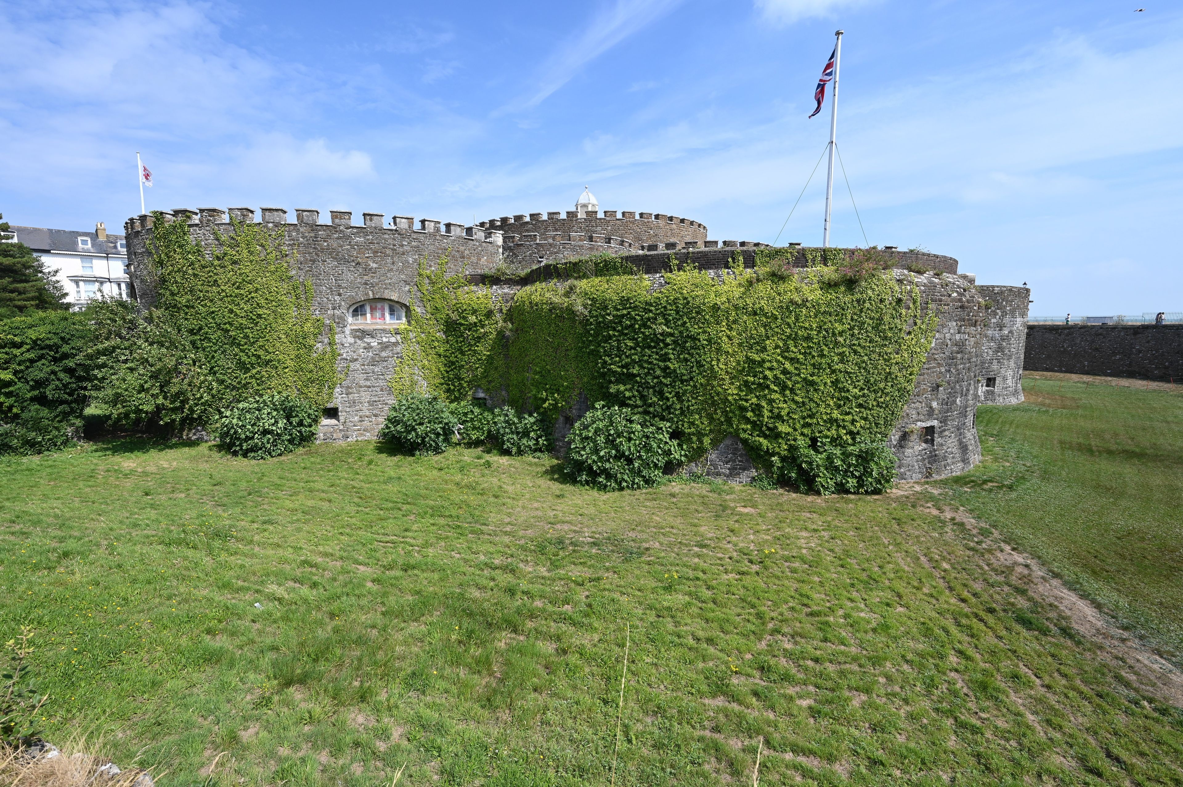 A historic stone castle with ivy-covered walls, a flagpole with a flag, and a grassy field in the foreground.