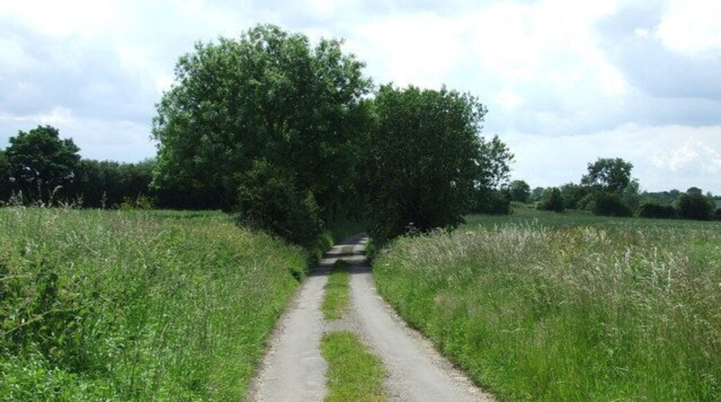 Country road Looking south along a minor country road near to little Dunham Norfolk.