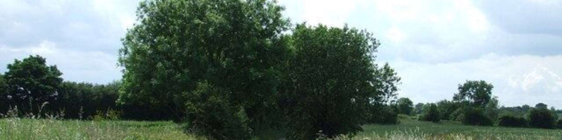 Country road Looking south along a minor country road near to little Dunham Norfolk.