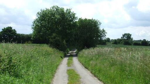 Country road Looking south along a minor country road near to little Dunham Norfolk.