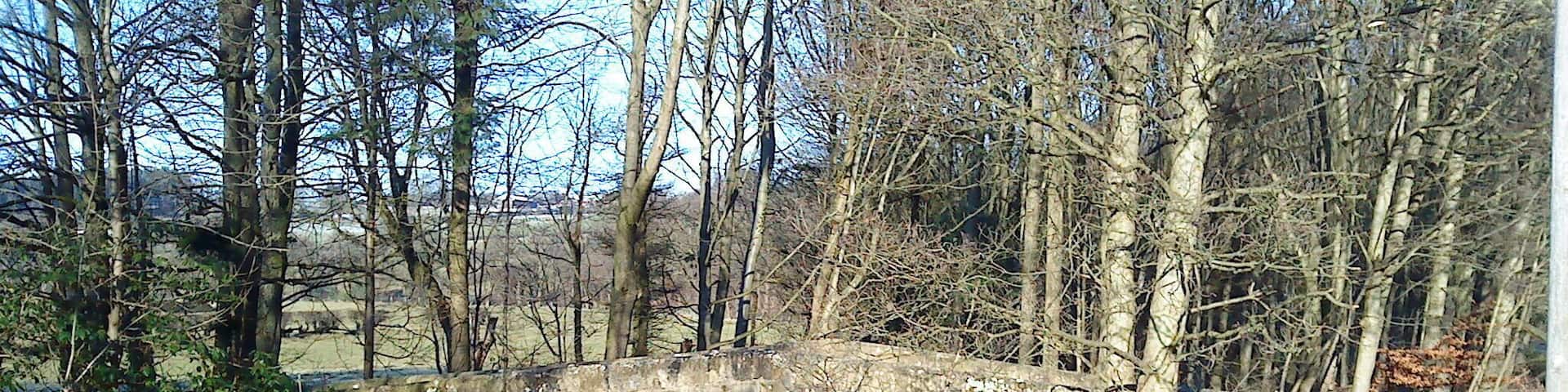 North Bridge, Grantley Grade II bridge over River Skell. A single segmental arch, band at road level, parapet rising in centre with chamfered coping. The south parapet wall continues to west and south and becomes the east wall to the smaller Hungate bridge.