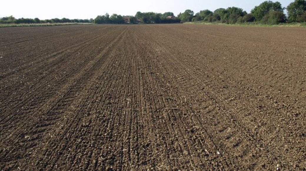 Tilled Field near Goxhill Hall The hedgerow on the right marks the route of the dismantled railway.