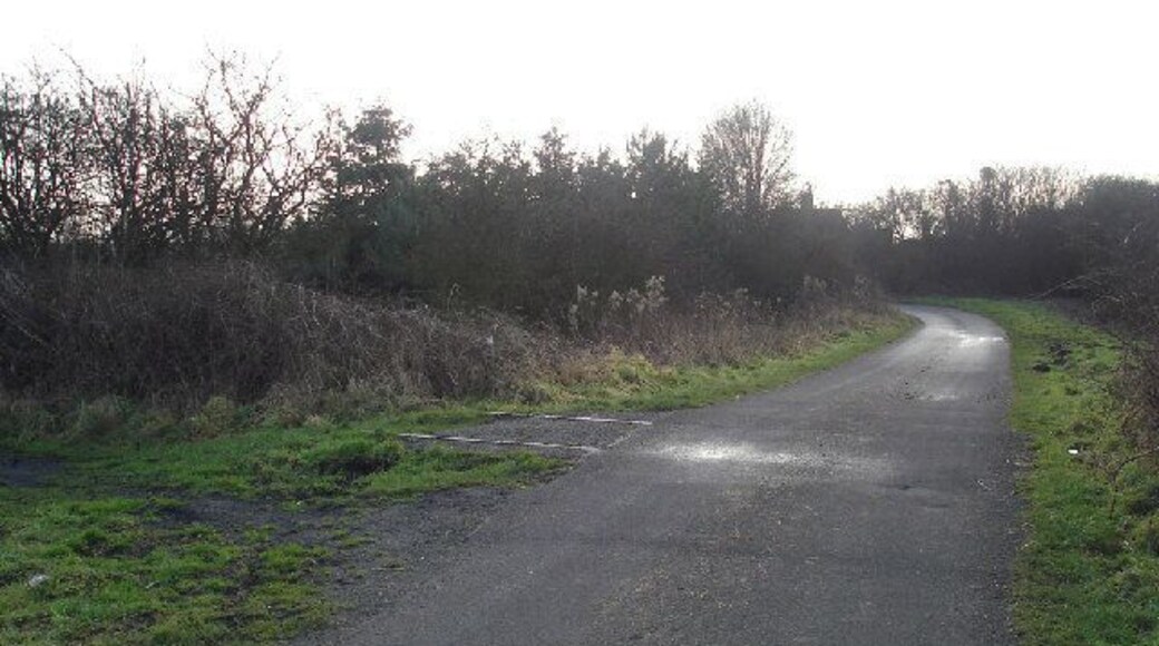 A Railway once ran here, south of Goxhill, Lincolnshire, England. Traces of the dismantled railway on an old level crossing near Goxhill, South End. Surprisingly, as can be seen in the photo, a short section of the rails still remains in place.
