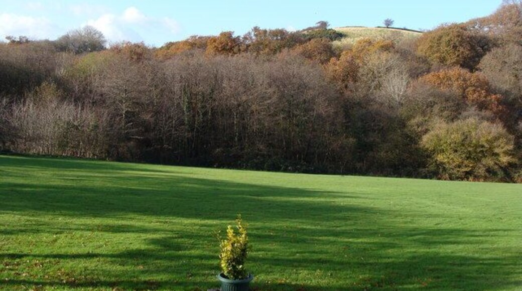 Looking towards woodland and a summit The plant pot suggests the green area is used as private garden - it doesn't enhance the picture but it does tell the story!