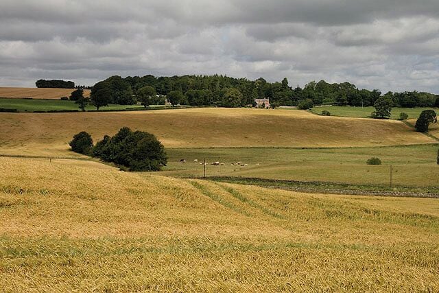 A rural landscape with rolling hills, a field of crops, and a distant house.