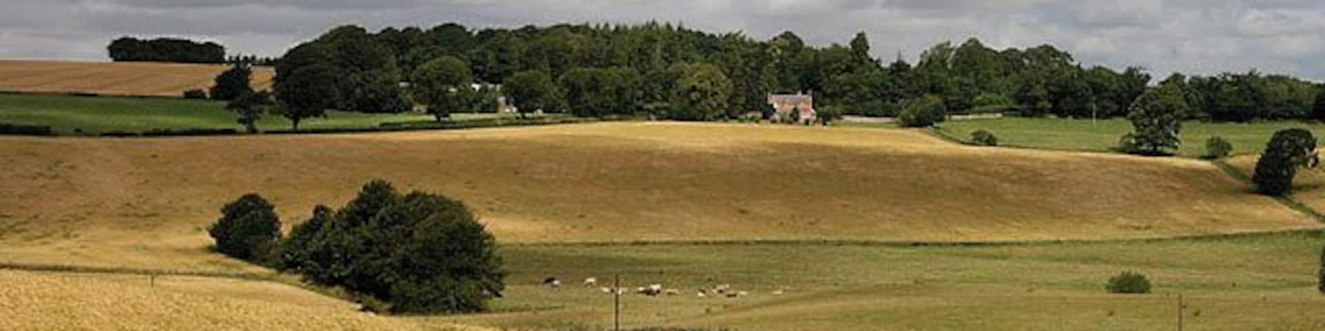 A rural landscape with rolling hills, a field of crops, and a distant house.