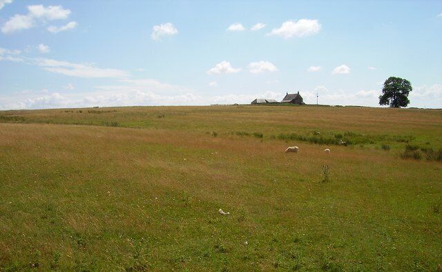 Um campo gramado com algumas ovelhas, uma árvore e uma casa ao longe.