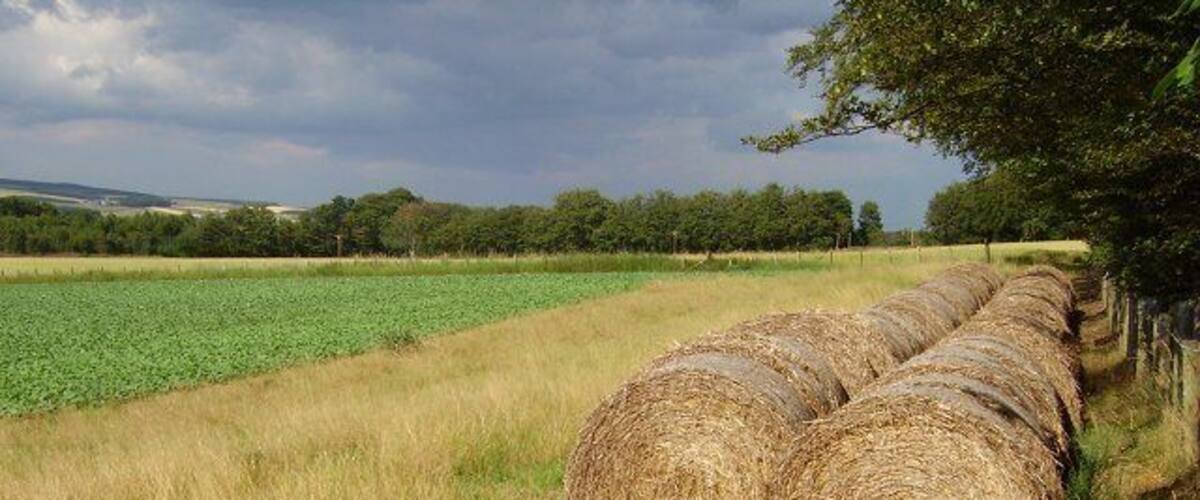 Round bales, Thorneydykes. Evidence of last year's crop.
