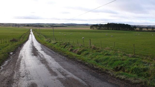 Road to Westruther
