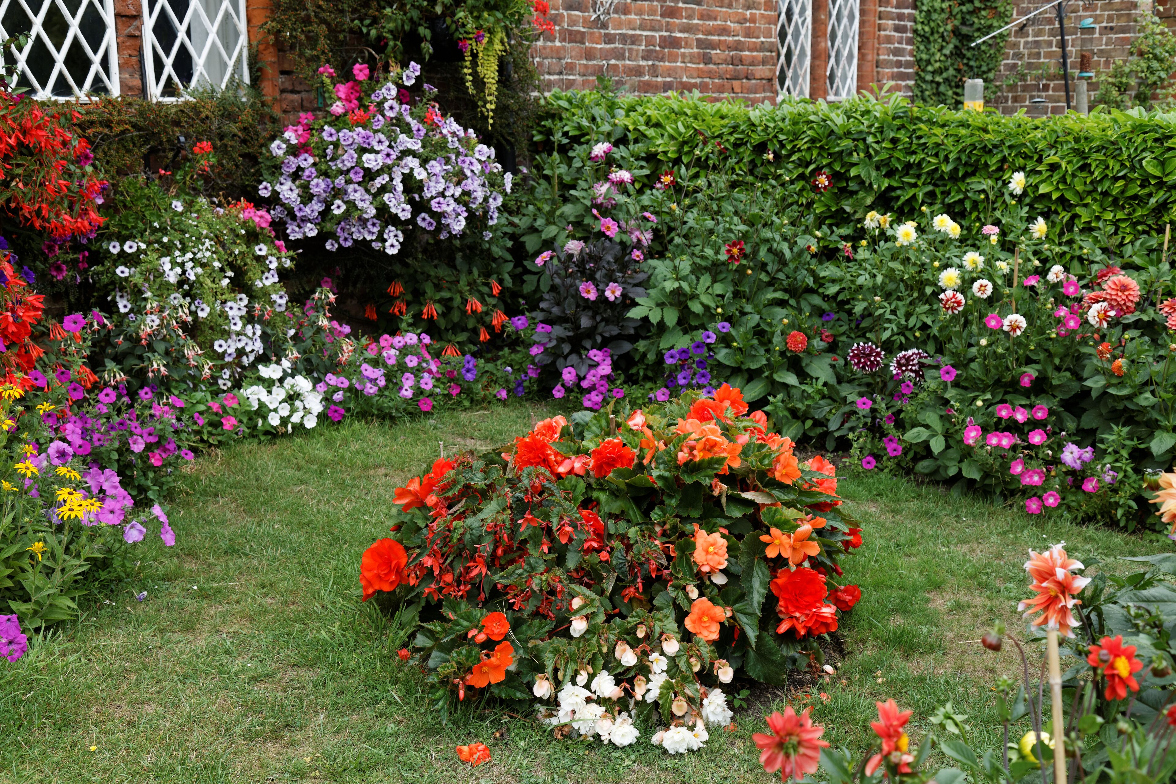 Front garden flower borders, lawn centrepiece and hedge at Goodnestone village in the Dover district of Kent, England. Software: RAW file lens-corrected, optimized and converted to JPEG with DxO OpticsPro 10 Elite, and likely further optimized and/or cropped and/or spun with Adobe Photoshop CS2.