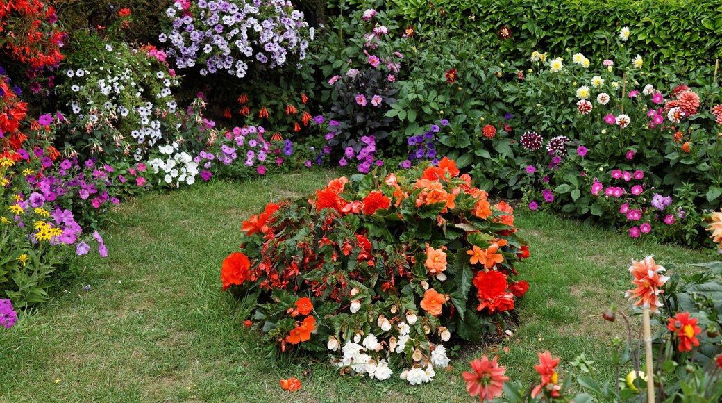 Front garden flower borders, lawn centrepiece and hedge at Goodnestone village in the Dover district of Kent, England. Software: RAW file lens-corrected, optimized and converted to JPEG with DxO OpticsPro 10 Elite, and likely further optimized and/or cropped and/or spun with Adobe Photoshop CS2.