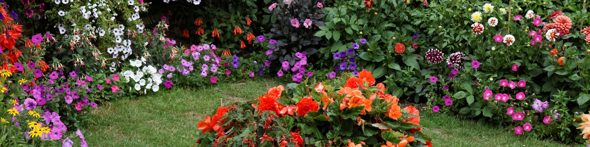 Front garden flower borders, lawn centrepiece and hedge at Goodnestone village in the Dover district of Kent, England. Software: RAW file lens-corrected, optimized and converted to JPEG with DxO OpticsPro 10 Elite, and likely further optimized and/or cropped and/or spun with Adobe Photoshop CS2.