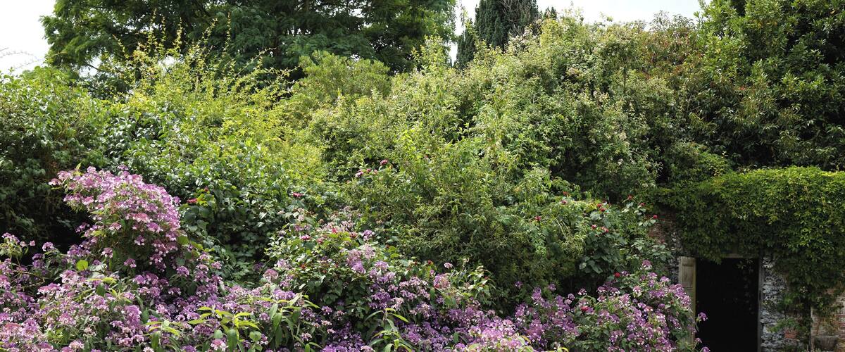 Lawn shrub border and entrance to the walled garden of Goodnestone Park at Goodnestone, in the Dover District of Kent, England. Camera: Canon EOS 6D with Canon EF 24-105mm F4L IS USM lens. Software: RAW file lens-corrected, optimized, perhaps cropped, and converted to JPEG with DxO OpticsPro 11 Elite, and likely further optimized with Adobe Photoshop CS2.