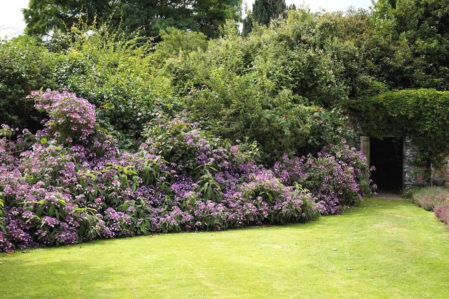 Lawn shrub border and entrance to the walled garden of Goodnestone Park at Goodnestone, in the Dover District of Kent, England. Camera: Canon EOS 6D with Canon EF 24-105mm F4L IS USM lens. Software: RAW file lens-corrected, optimized, perhaps cropped, and converted to JPEG with DxO OpticsPro 11 Elite, and likely further optimized with Adobe Photoshop CS2.