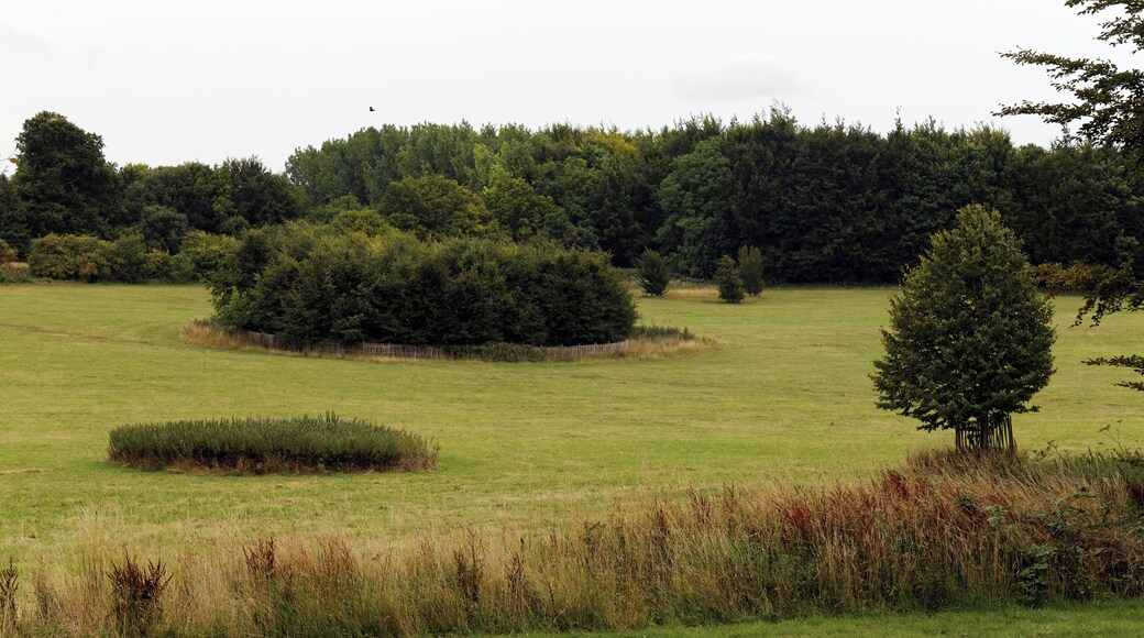 Field and trees at Goodnestone Park in the Dover district of Kent, England. Software: RAW file lens-corrected, optimized and converted to JPEG with DxO OpticsPro 10 Elite, and likely further optimized and/or cropped and/or spun with Adobe Photoshop CS2.