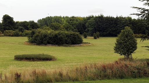 Field and trees at Goodnestone Park in the Dover district of Kent, England. Software: RAW file lens-corrected, optimized and converted to JPEG with DxO OpticsPro 10 Elite, and likely further optimized and/or cropped and/or spun with Adobe Photoshop CS2.