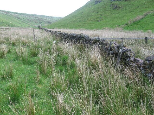 Between Down Hill and Tormaukin