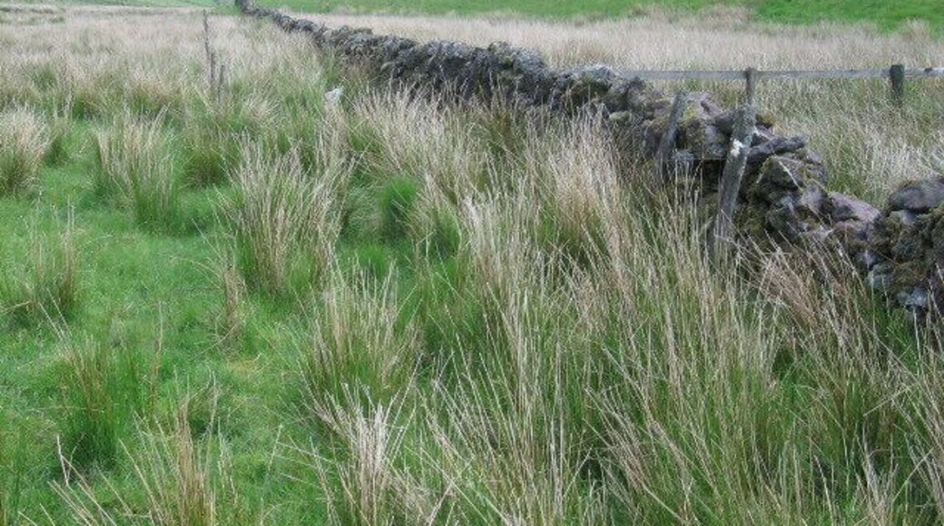 Between Down Hill and Tormaukin