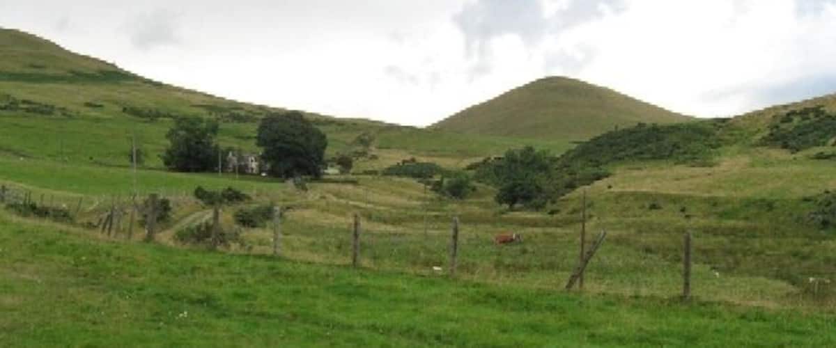 A green hillside with a fence, trees, and a distant hill.