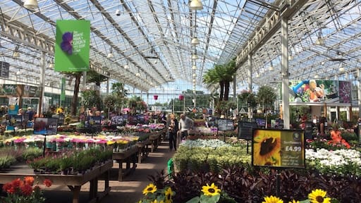 The largest garden centre in the UK. Plenty of flowers to brighten up your day.