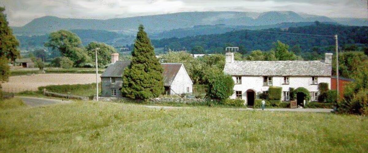 A rural landscape with a white house, a tall tree, and rolling hills in the background.