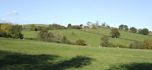 Across the fields to Brynsifiog A footpath makes its way directly from Lach-doll farm, behind the camera, to the neighbouring property, across sheep pastures.