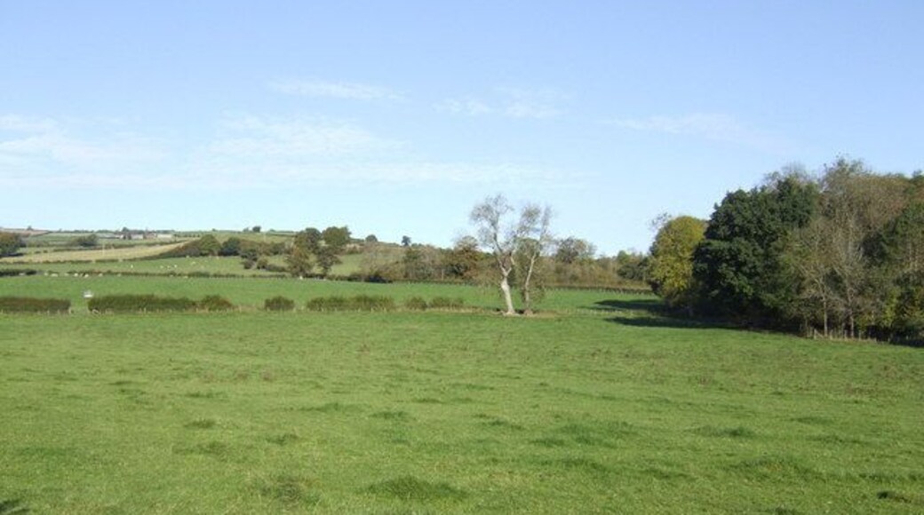 Pasture land north of the Wye The land rises gradually from the river northwards to The Begwns hills of south Radnorshire.