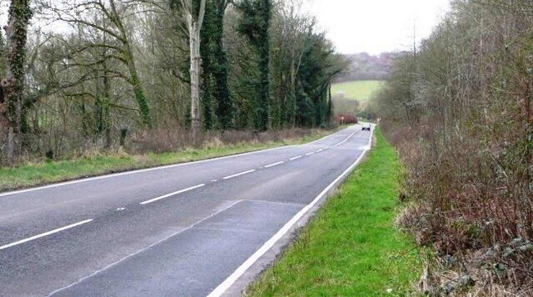 A438 near Clyro. The road clips the south-east corner of the square for a couple of hundred yards. It is one of the fastest parts of the A438. As I took this picture it was dark enough for the flash to go off. The driver of the approaching car slowed down and gave me a good look.