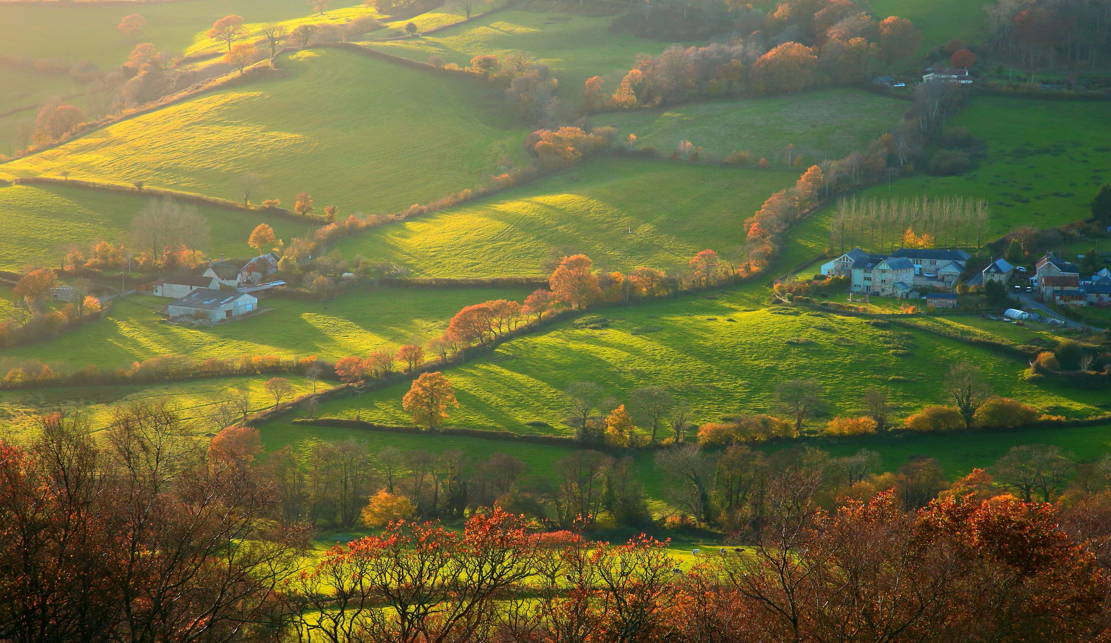 Des collines verdoyantes et ondulées, quelques arbres dispersés et quelques maisons dans un paysage rural.