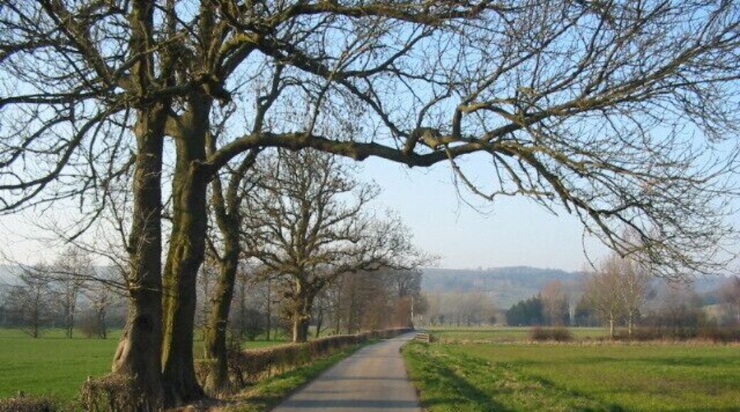 Private tarmac road leading to Ampleforth College