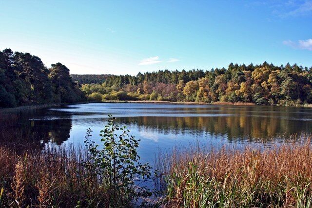 Lower Fishpond, Park Wood